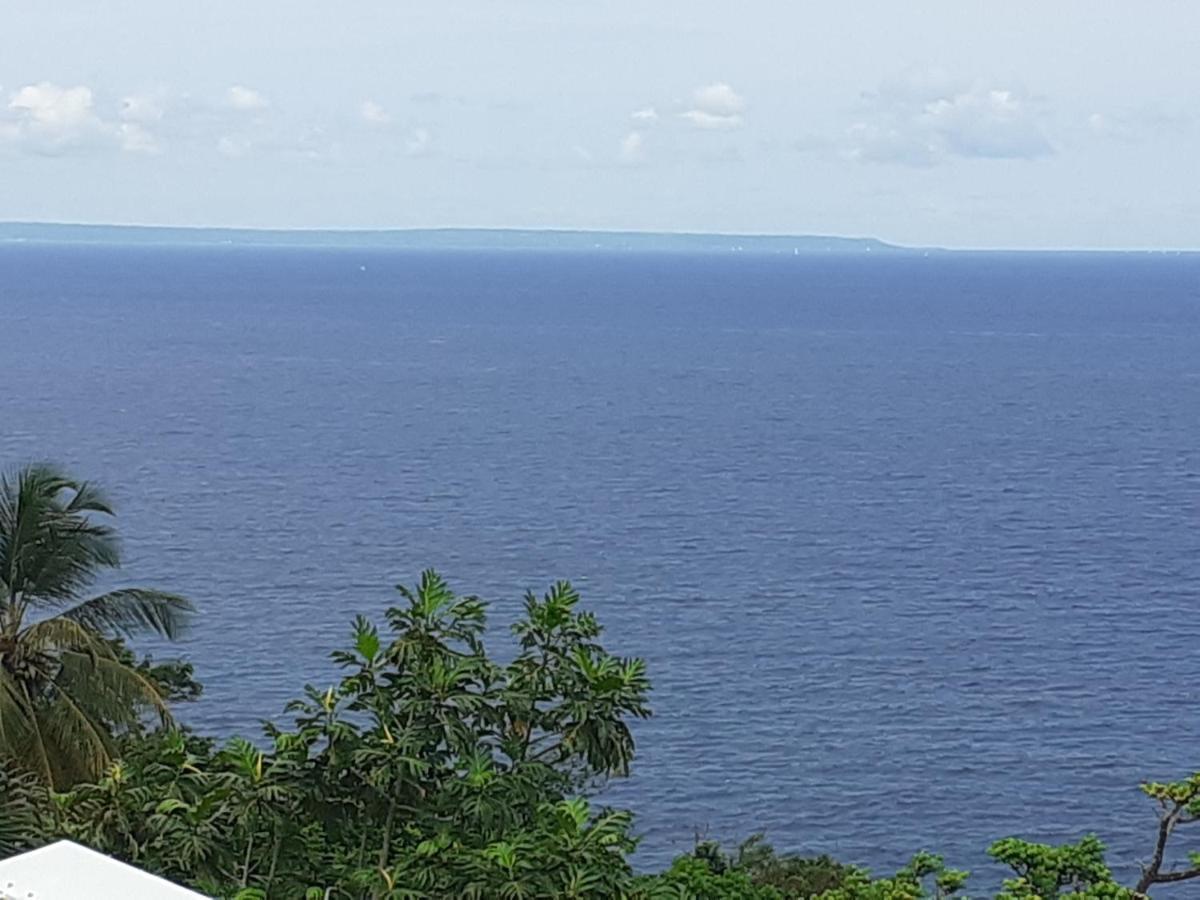 Awmony'Kaz, Gite A Trois-Rivieres Guadeloupe Dış mekan fotoğraf