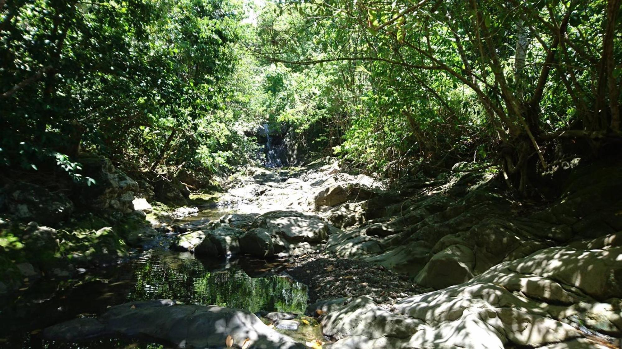Awmony'Kaz, Gite A Trois-Rivieres Guadeloupe Dış mekan fotoğraf