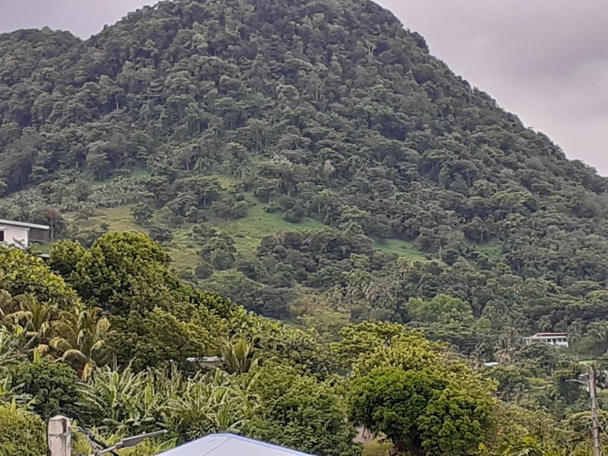 Awmony'Kaz, Gite A Trois-Rivieres Guadeloupe Dış mekan fotoğraf