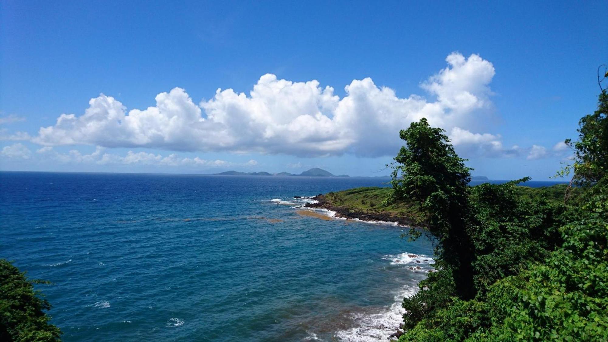 Awmony'Kaz, Gite A Trois-Rivieres Guadeloupe Dış mekan fotoğraf