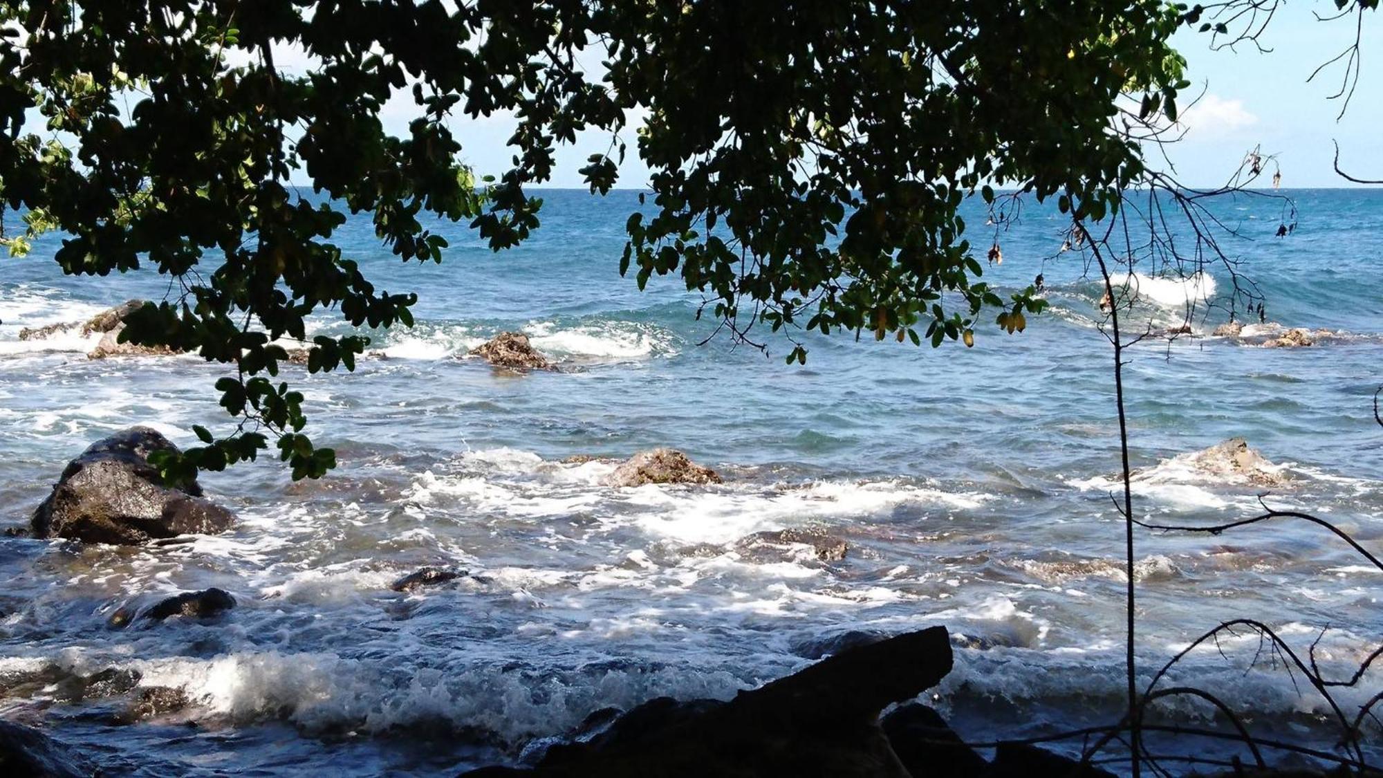 Awmony'Kaz, Gite A Trois-Rivieres Guadeloupe Dış mekan fotoğraf