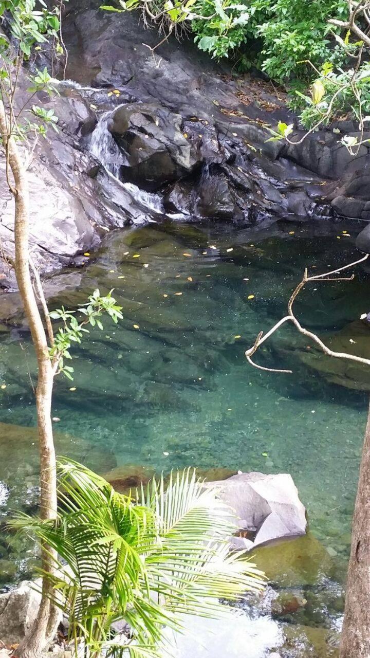 Awmony'Kaz, Gite A Trois-Rivieres Guadeloupe Dış mekan fotoğraf